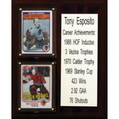 C&I Collectibles Chicago Blackhawks 8'' x 10'' Team Plaque Tony Esposito