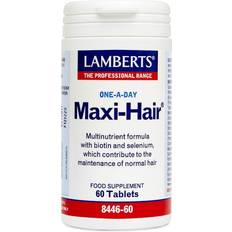 Lamberts Maxi-Hair 60 pcs