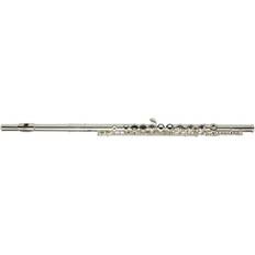 Best Transverse Flutes Roy Benson FL-402