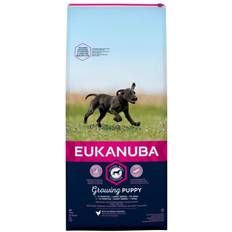 Eukanuba Growing Puppy Large Breed Chicken 2kg