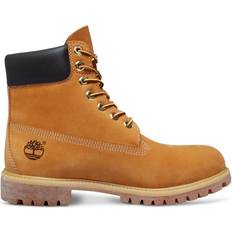 Buckle/Laced Boots Timberland Icon 6-inch Premium - Wheat