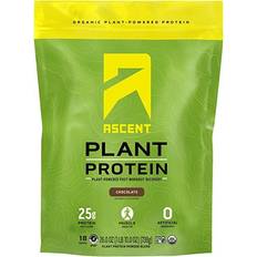 Ascent Organic Plant Protein Chocolate