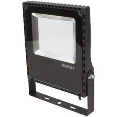 Robus Champion 100W Black LED Floodlight