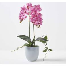 Homescapes Pink Orchid 54 cm Phalaenopsis in Ceramic Pot Vase