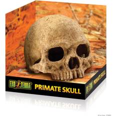 Exo Terra Primate Skull