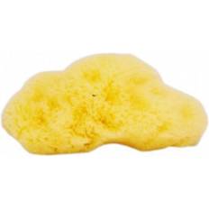 Hydrea London Fina Silk Sea Sponge For Cosmetic or Baby Use 7 cm