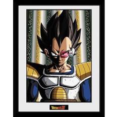 GB Eye Dragon Ball Z Vegeta Framed Photographic Collector Print Framed Art