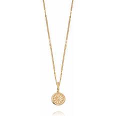 Daisy Bloom Mini Pendant Necklace - Gold