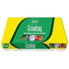 Soil Westland Horticulture Growbag Medium