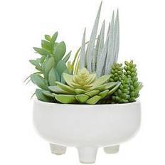 Premier Housewares Fiori Succulents In Large