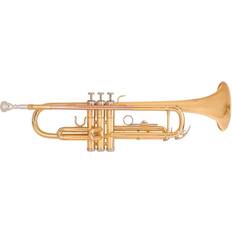 Trumpets Odyssey Debut Trumpet Outfit With Case