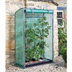 Smart Garden Tomato Grozone