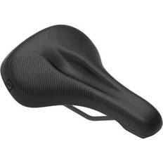 ERGON ST Core EVO Leisure