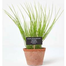 Homescapes Artificial Chive Plant Terracotta Artificial Plant