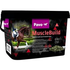 Pavo MuscleBuild 3kg