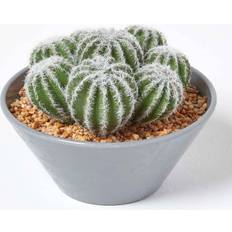 Homescapes Artificial Barrel Cactus Arrangement Green Artificial Plant