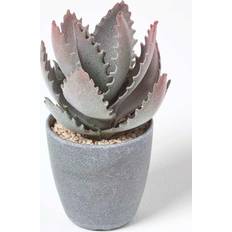 Black Artificial Plants Homescapes Aloe Vera Artificial Succulent Artificial Plant