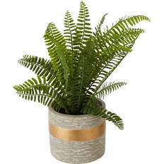 Premier Housewares Fiori Boston Fern Succulent Figurine