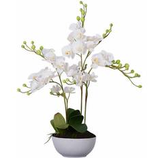 Premier Housewares White Orchid Plant with