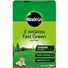 Miracle-Gro Evergreen Fast Green 80m2 Box