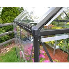 Palram Canopia Harmony 6X10 Greenhouse