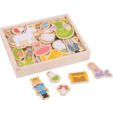 Bigjigs Toys Magnets Fantasy