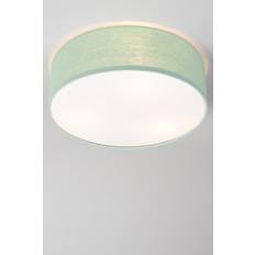 Glow Mint Diffused Flush Ceiling Flush Light