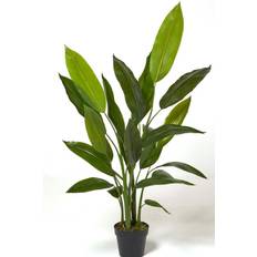 Homescapes Heliconia Plant - Green