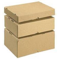 Carton With Lid 305x215x100mm Brown (10 Pack)