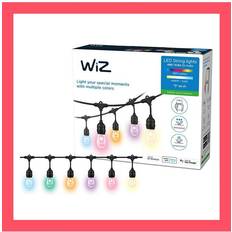 WiZ 14.8 String String Light 1 Lamps