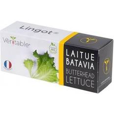 Veritable Lingot Organic Butterhead Lettuce