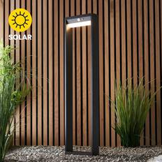 Outdoor Lighting Floor Lamps Endon Dannah Modern Solar Floor Lamp