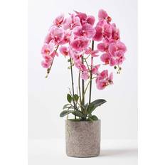 Homescapes Pink Orchid 82 Phalaenopsis Cement Pot Extra 4 Stems