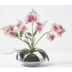 Homescapes Pink and White Orchid Phalaenopsis Pot