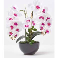 Homescapes White and Pink Orchid Phalaenopsis Pot