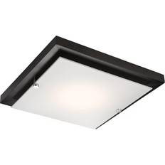 Lamkur Square Simple Ceiling Flush Light