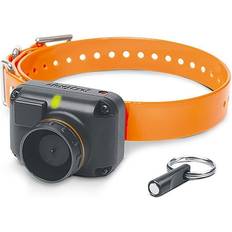 Dogtra STB Beeper Collar Black/Orange