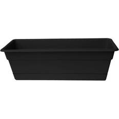 Bloem 18in Dura Cotta Window Box Black