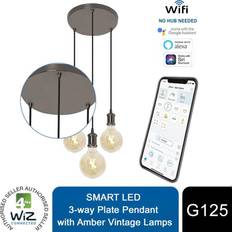 WiZ 4lite 4l1/7016 Pendant Lamp