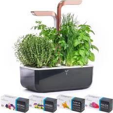 Veritable Black Copper Smart 4-Slot Garden