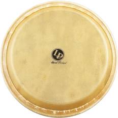 LP Drumhead