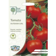 RHS Mr.Fothergill's Home Grown Vegetable Tomato Girl Seeds