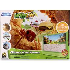 Uncle Milton Giant Ant Farm Large Viewing Area Care for Live Ants Nature Learning Toy Science DIY Toy Kit Great Gift for Boys & Girls, Green