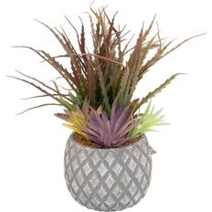 Geko Succulents Lattice Design Grey Pot