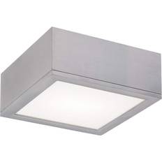 Wac Lighting Rubix ENERGY STAR Mount Ceiling Flush Light