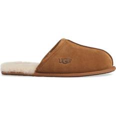 Brown Slippers UGG Scuff Suede - Chestnut
