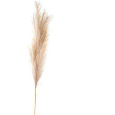 Hill Interiors Bleached Large Faux Pampas Grass Stem