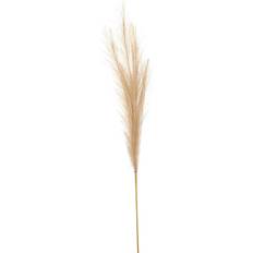 Hill Interiors Bleached Faux Pampas Grass Stem