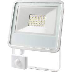 Edm Floodlight/Projector Light 50 W 3500 lm