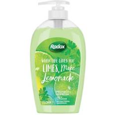 Radox Protect & Refresh Antibacterial Handwash 250ml